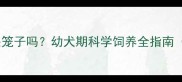 哈士奇三个月大必须关笼子吗幼犬期科学饲养全指南附航空箱使用技巧