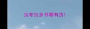 拉布拉多书哪有货