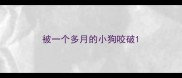 被一个多月的小狗咬破