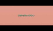 狗狗吃骨头后呕吐