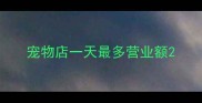 宠物店一天最多营业额
