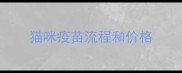 猫咪疫苗流程和价格