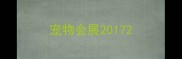 宠物会展2017