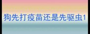 狗先打疫苗还是先驱虫