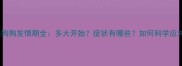 泰迪狗狗发情期全多大开始症状有哪些如何科学应对