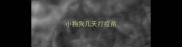 小狗狗几天打疫苗