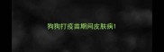 狗狗打疫苗期间皮肤病