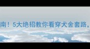 哈士奇幼犬避坑指南5大绝招教你看穿犬舍套路买狗前必看干货