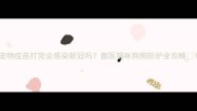 宠物疫苗打完会感染新冠吗兽医猫咪狗狗防护全攻略