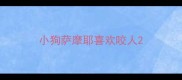 小狗萨摩耶喜欢咬人