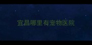宜昌哪里有宠物医院