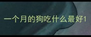 一个月的狗吃什么最好