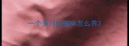 一个多月的猫咪怎么养