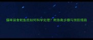 猫咪误食鱿鱼后如何科学处理附急救步骤与预防措施