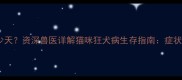 存活期仅剩多少天资深兽医详解猫咪狂犬病生存指南症状识别与治疗全