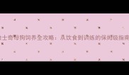 哈士奇母狗饲养全攻略从饮食到训练的保姆级指南