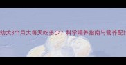 边牧幼犬3个月大每天吃多少科学喂养指南与营养配比全