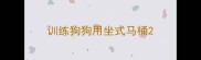 训练狗狗用坐式马桶