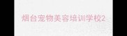 烟台宠物美容培训学校