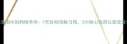 宠物主必看无需泡水的狗粮革命7天告别泡粮习惯3大核心优势让爱宠营养吸收提升40