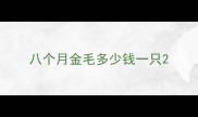 八个月金毛多少钱一只