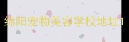 绵阳宠物美容学校地址
