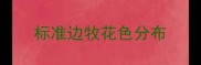 标准边牧花色分布