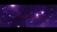 专业繁育拉布拉多犬舍