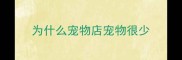 为什么宠物店宠物很少