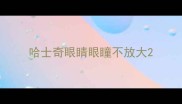 哈士奇眼睛眼瞳不放大