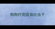 狗狗打完疫苗吐虫子