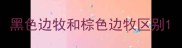 黑色边牧和棕色边牧区别