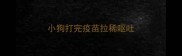 小狗打完疫苗拉稀呕吐