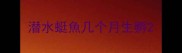 潜水蜓魚几个月生孵