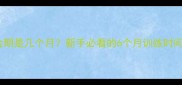 比熊犬训练黄金期是几个月新手必看的6个月训练时间表附教程