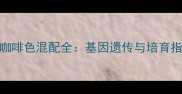 边境牧羊犬三色与咖啡色混配全基因遗传与培育指南附配种案例