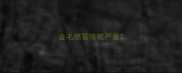 金毛感冒咳嗽严重