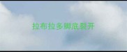 拉布拉多脚底裂开