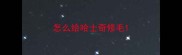 怎么给哈士奇修毛