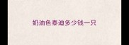 奶油色泰迪多少钱一只