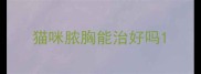 猫咪脓胸能治好吗