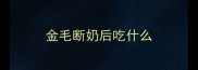 金毛断奶后吃什么