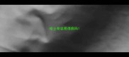 哈士奇容易得病吗