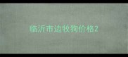 临沂市边牧狗价格