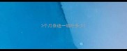 3个月泰迪一顿吃多少
