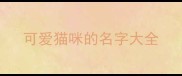 可爱猫咪的名字大全