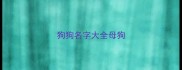 狗狗名字大全母狗