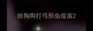 给狗狗打弓形虫疫苗