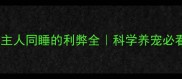 狗狗和主人同睡的利弊全科学养宠必看指南