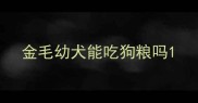 金毛幼犬能吃狗粮吗